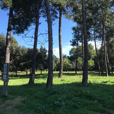 Vakantiehuis La Carezza Montesilvano Marina