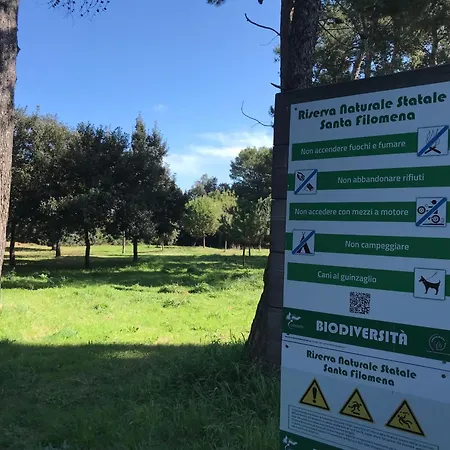 La Carezza Montesilvano Marina