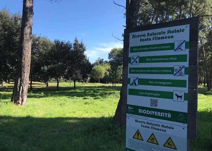 La Carezza Montesilvano Marina