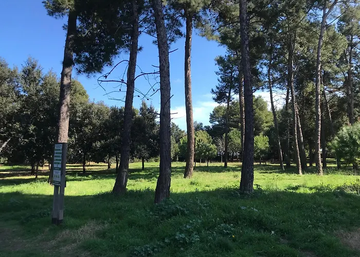 Dom wakacyjny La Carezza Montesilvano Marina